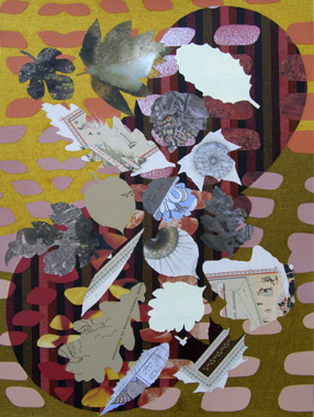 collage-cijfers-vogels-circ
