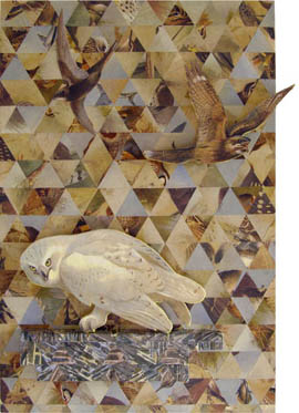 collage-brug
