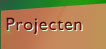 Projecten